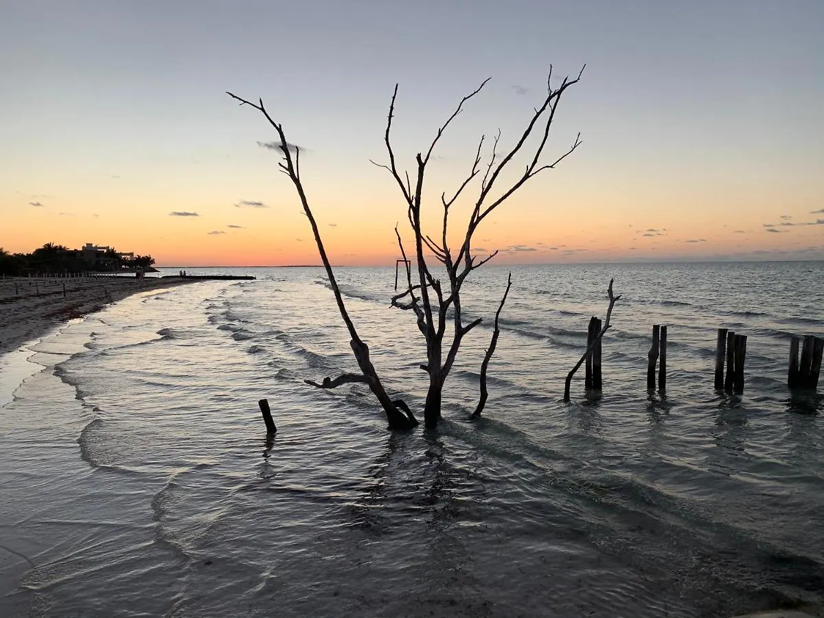 LaIsla Holbox Luxury Villa México